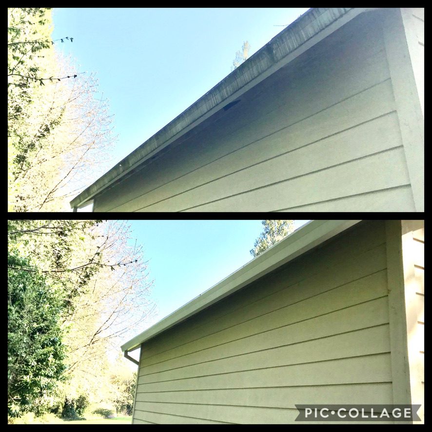 0F0F2FF3-A810-4279-A31F-933FC466E4BC_1_105_c Gutter brightening